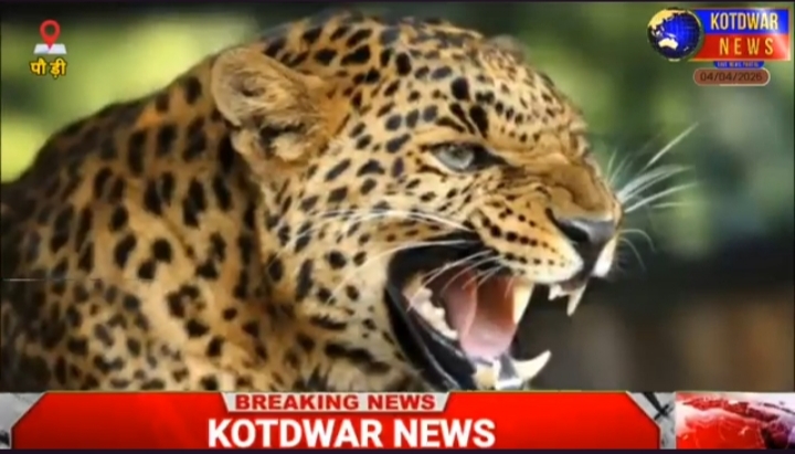 पौड़ी जिले में गुलदार को मारने के आदेश। बच्चों की सुरक्षा के लिए विशेष इंतजाम