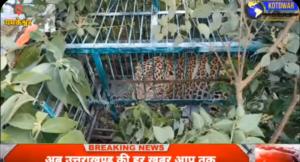 पौड़ी जिले में पिंजरे में कैद हुआ गुलदार,ग्रामीणों ने की राहत की साँस